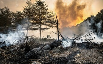 Оценка ущерба после стихийного бедствия в Хабаровске: отчет оценщика